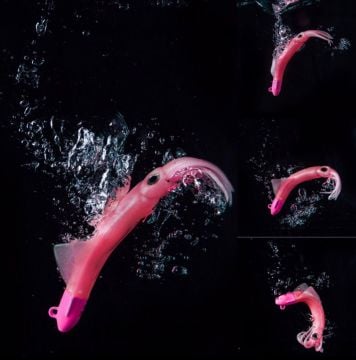 Jigging A La Carta CALAMAR JLC  BODY REPLACEMENT PIRATES #9