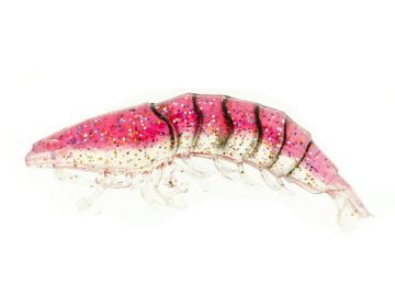 Molix Shrimp 2,5'' + WT Jig Head 4 g.col. Clear Red Back