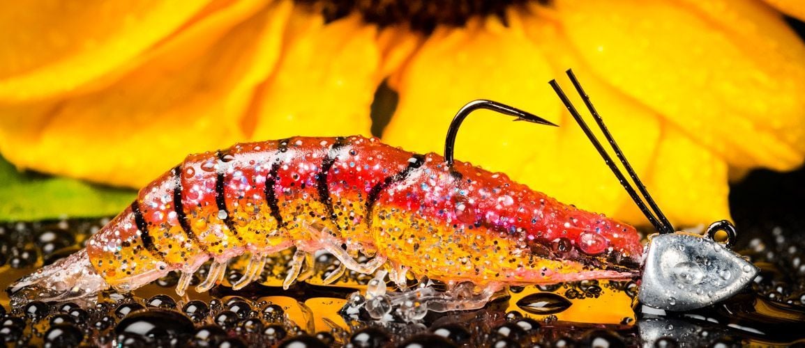 Molix Shrimp 2,5'' + WT Jig Head 4 g.col. Clear Red Back