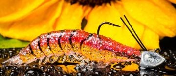 Molix Shrimp 2,5'' + WT Jig Head 4 g.col. Clear Red Back