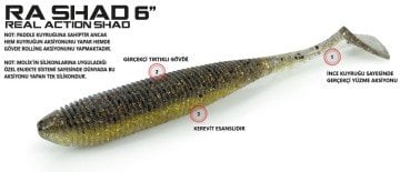 Molix RA Shad 6'' (4 pcs)  col. Ghost Blue Gill