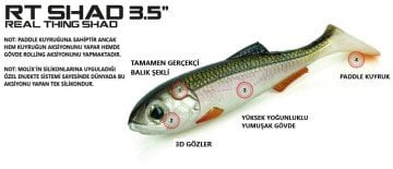 Molix Real Thing Shad 3,5'' (5 pcs)  col. Mixed Pack 2