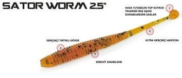 Molix Sator Worm 2,5'' ( 15 pcs.) Col. Savetta