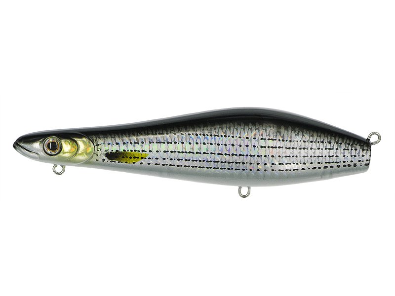 Molix MTW 130 col. Cefalo