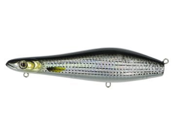 Molix MTW 130 col. Cefalo