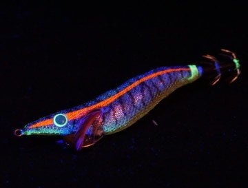 Molix Millerighe EVO EGI 2.5 col. Striped Black