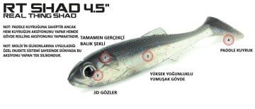 Molix Real Thing Shad 4.5''  (4 pcs)  col. UV Goldfish